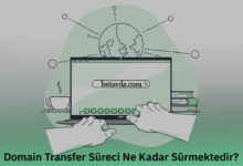 Domain Transfer Süreci