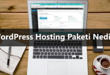 wordpress hosting nedir